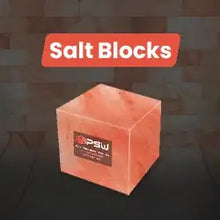 Salt Bricks for Sauna